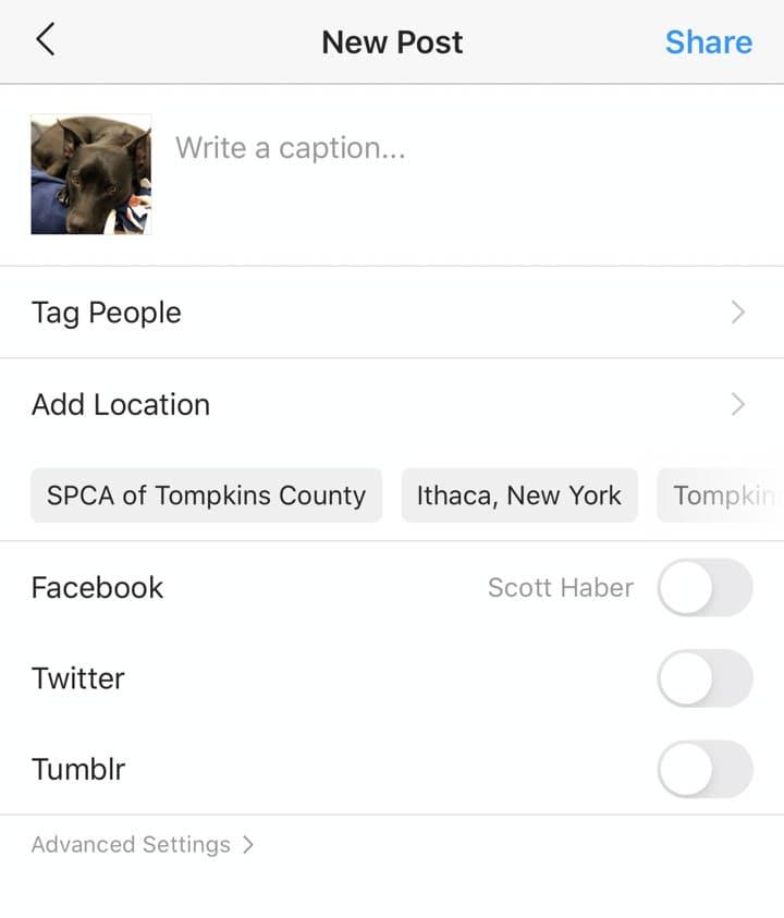 Adding alt-text to Instagram